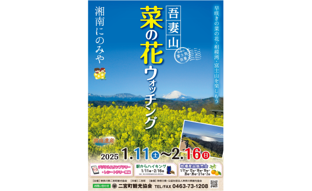 「吾妻山　菜の花ウォッチング2025」